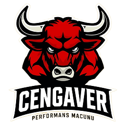 Cengaver